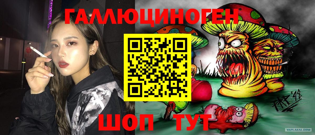 Саратов  Псилоцибиновые грибы прущие грибы  Вход с VPN 