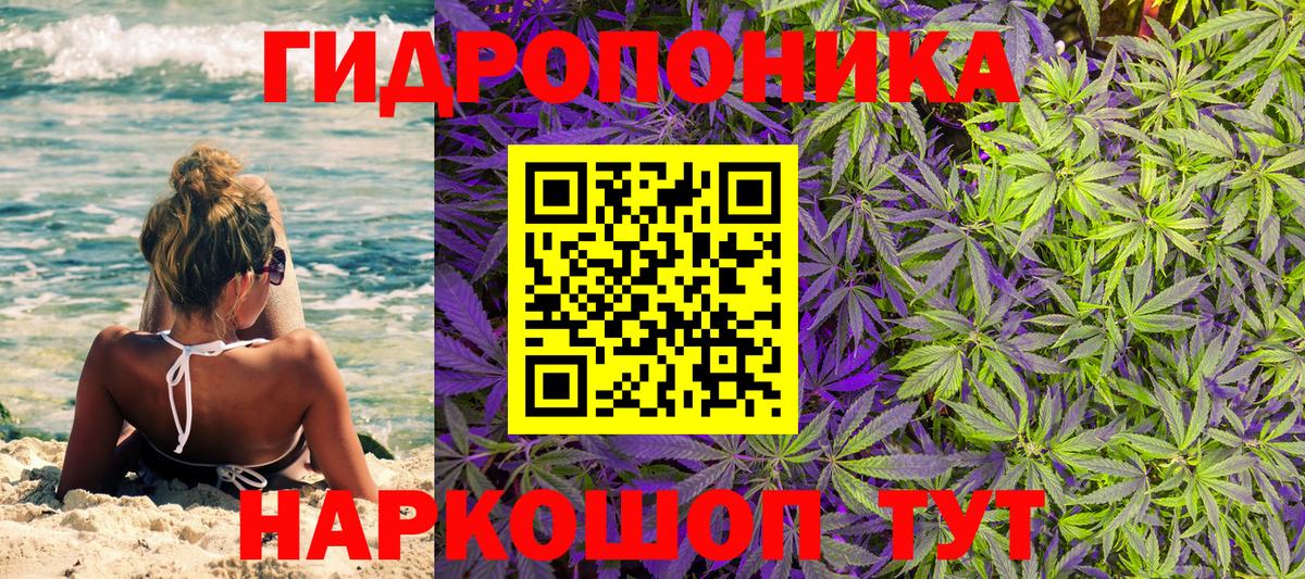 Канабис SATIVA & INDICA  Конопля SATIVA & INDICA  Саратов  Вход с VPN  Бошки Шишки семена 